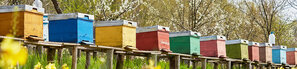 Bienenmagazine farbig | © Andermatt BioVet AG