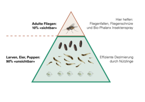Diagramm Fliegeneisberg Deutsch | © Andermatt BioVet AG