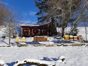 Winterlandschaft mit Bienenkästen | © Andermatt BioVet AG