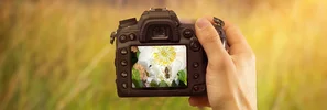 Fotoapparat mit Biene im Focus | © Andermatt BioVet AG