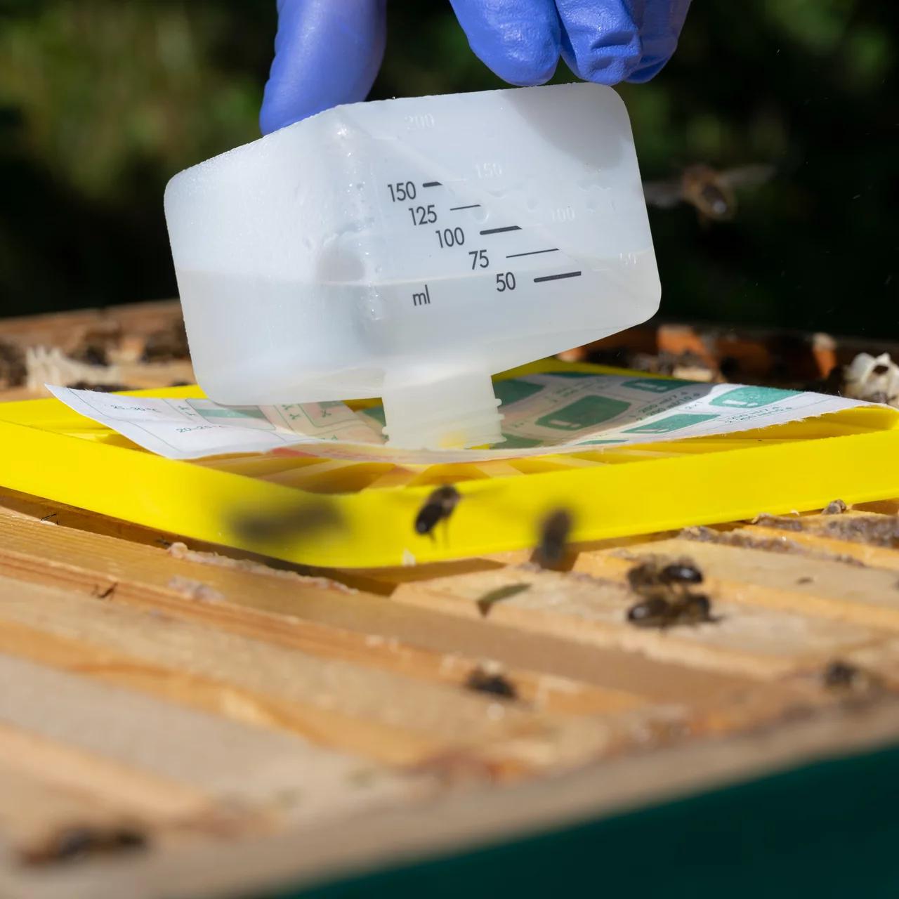 Liebig Dispenser aufstellen | © Andermatt BioVet AG