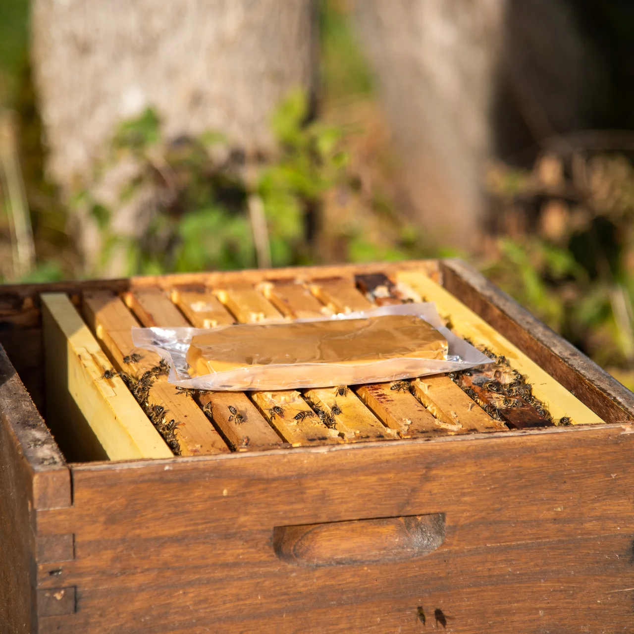 Anwendung Futterteig NutriPro 25 | © Andermatt BioVet AG