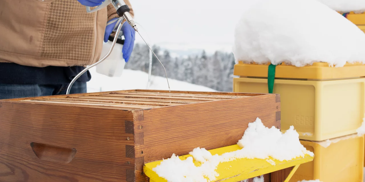 Oxuvar träufeln | © Andermatt BioVet AG
